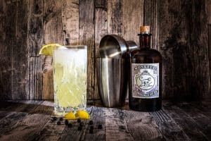 Gin Fizz - ein sehr leckerer Cocktail
