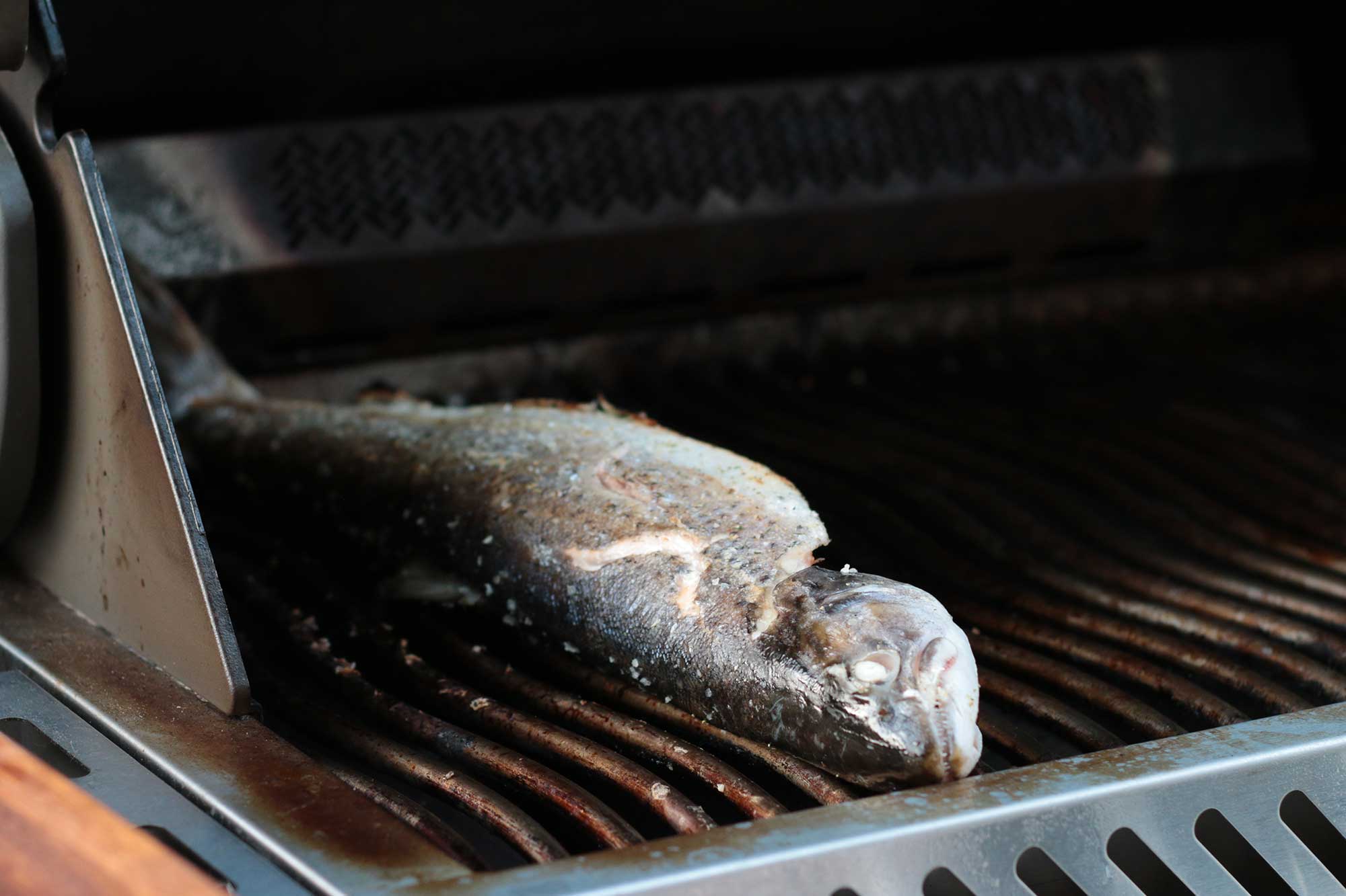 Die Forelle wird im indirekten Bereich gegrillt