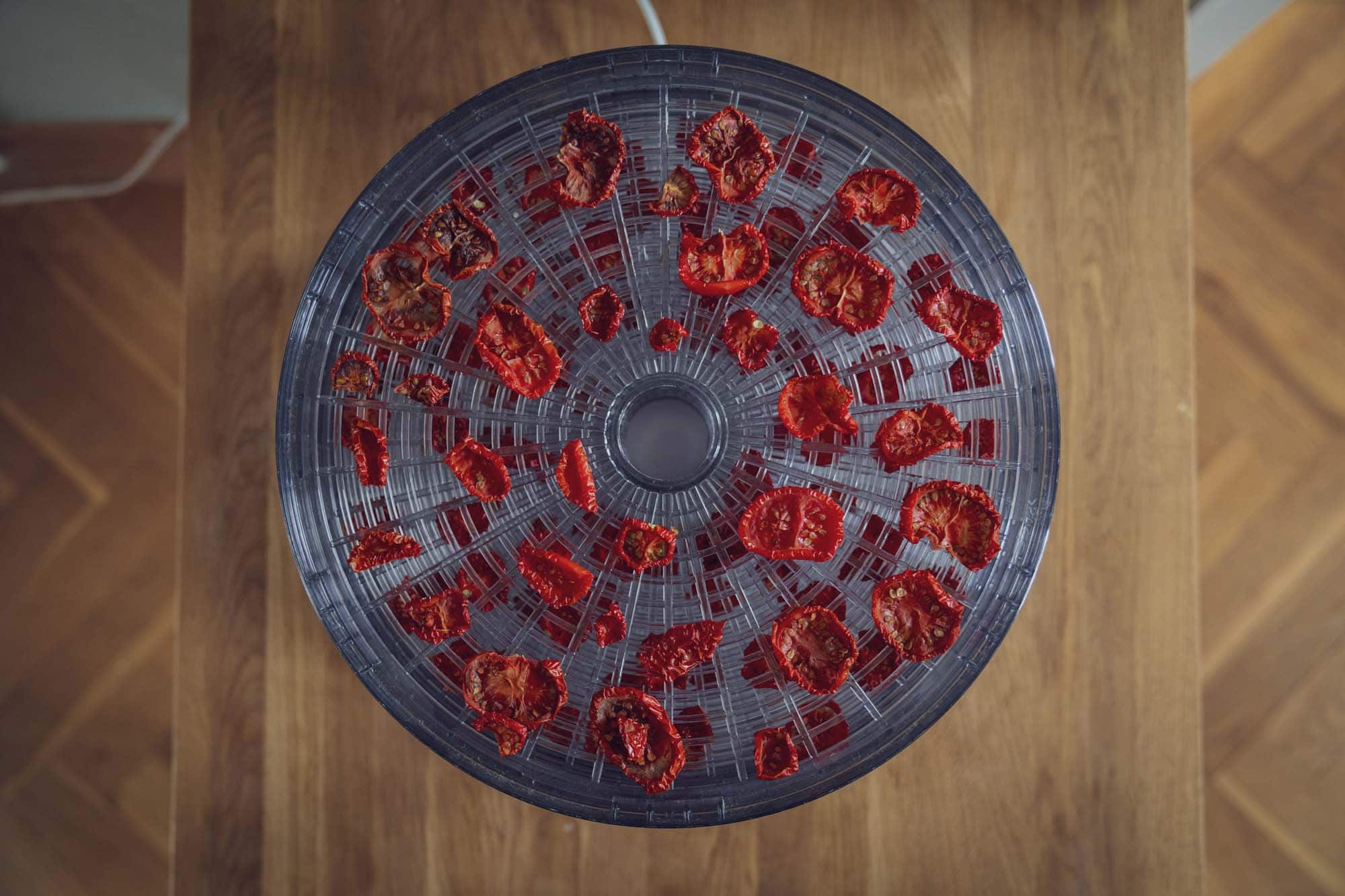getrocknete Tomaten im Dörrautomaten