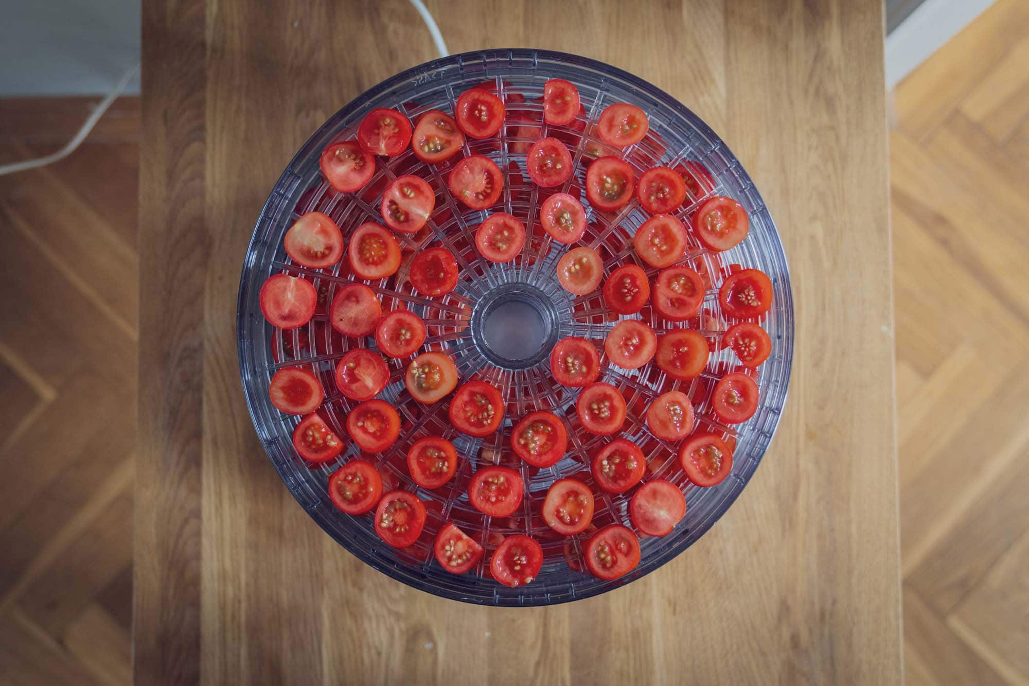 Tomaten im Dörautomaten
