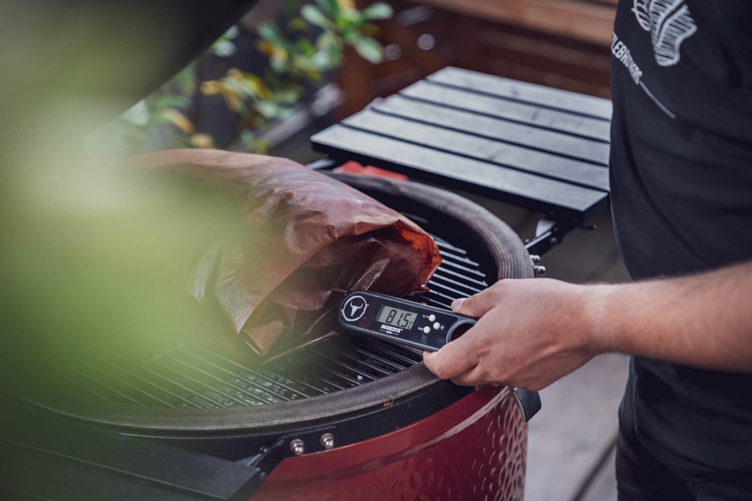 Temperatur mit Grillthermometer messen