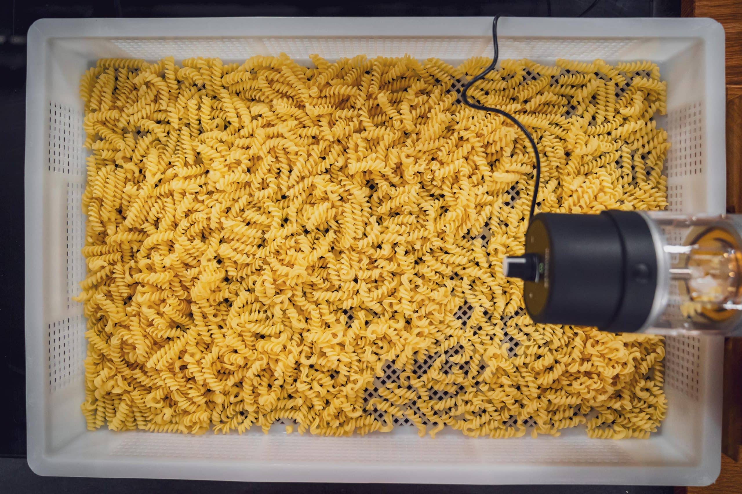 Selbstgemachte Nudeln