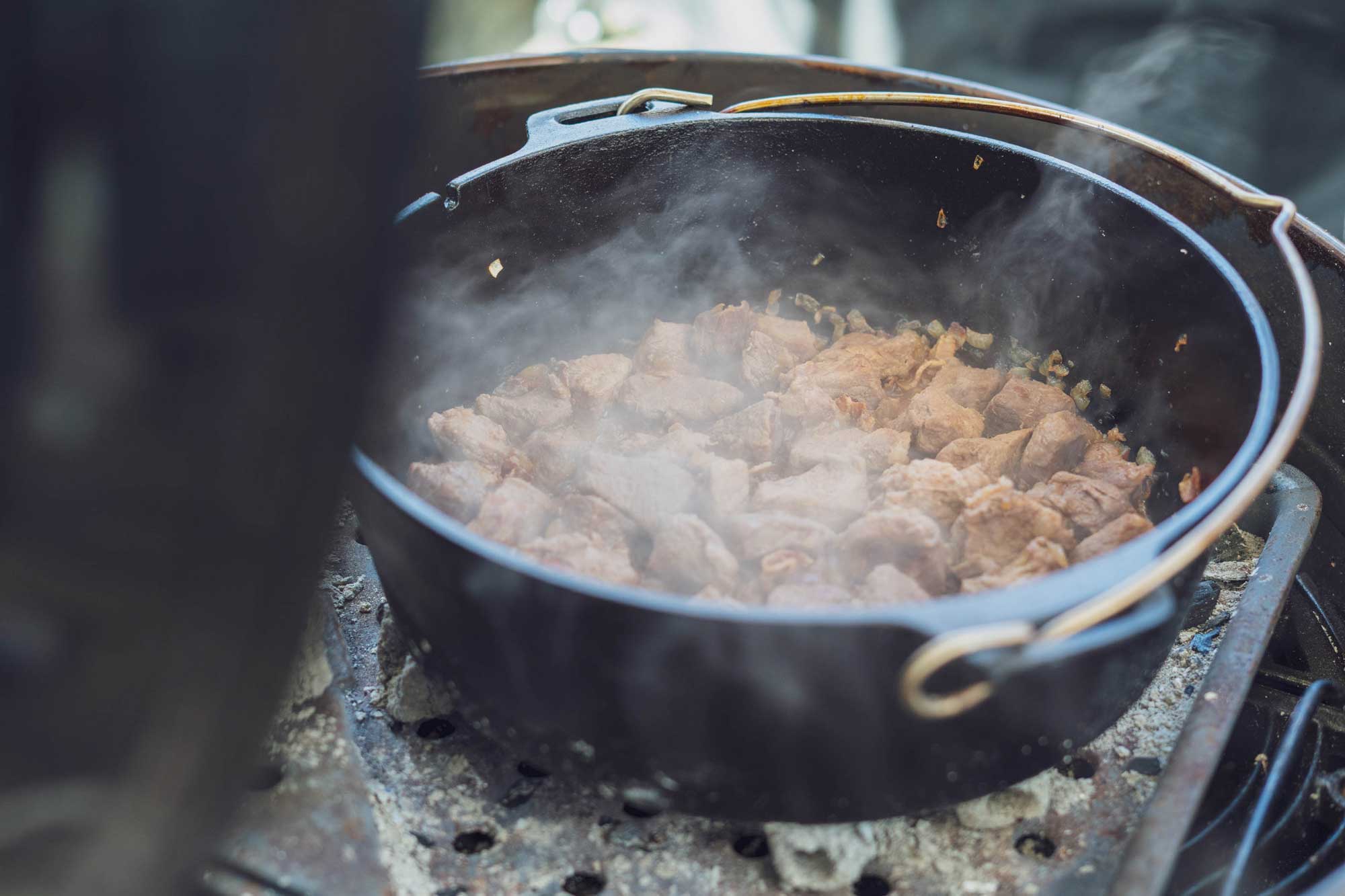 Wildschwein Gulasch zieht durch